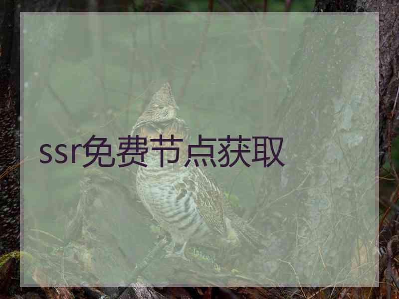 ssr免费节点获取