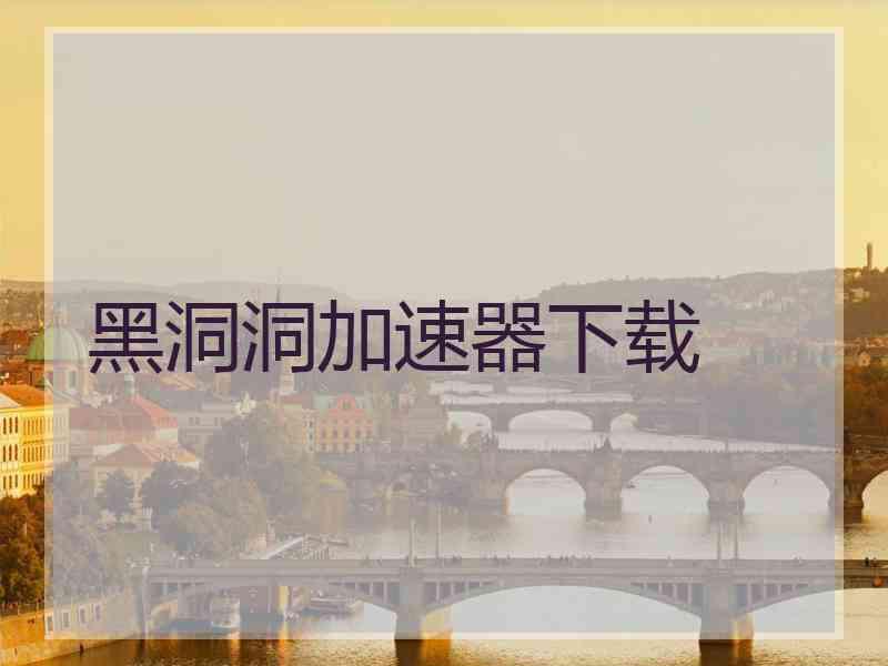 黑洞洞加速器下载