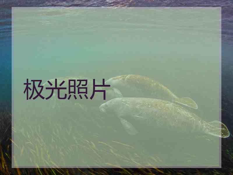 极光照片