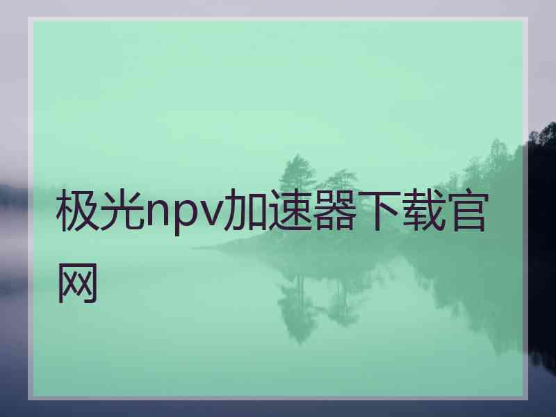极光npv加速器下载官网