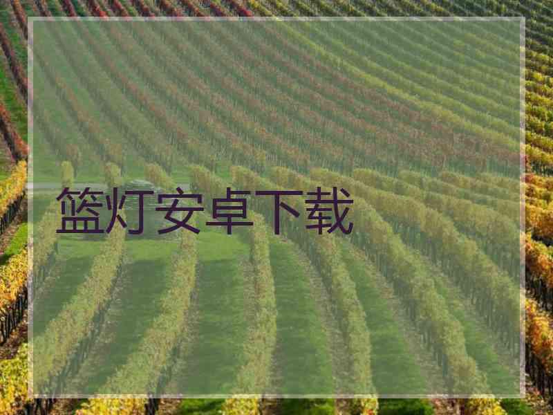 篮灯安卓下载