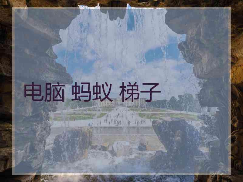 电脑 蚂蚁 梯子