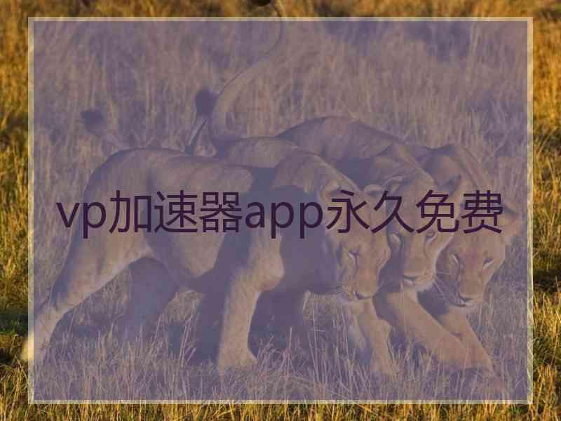 vp加速器app永久免费