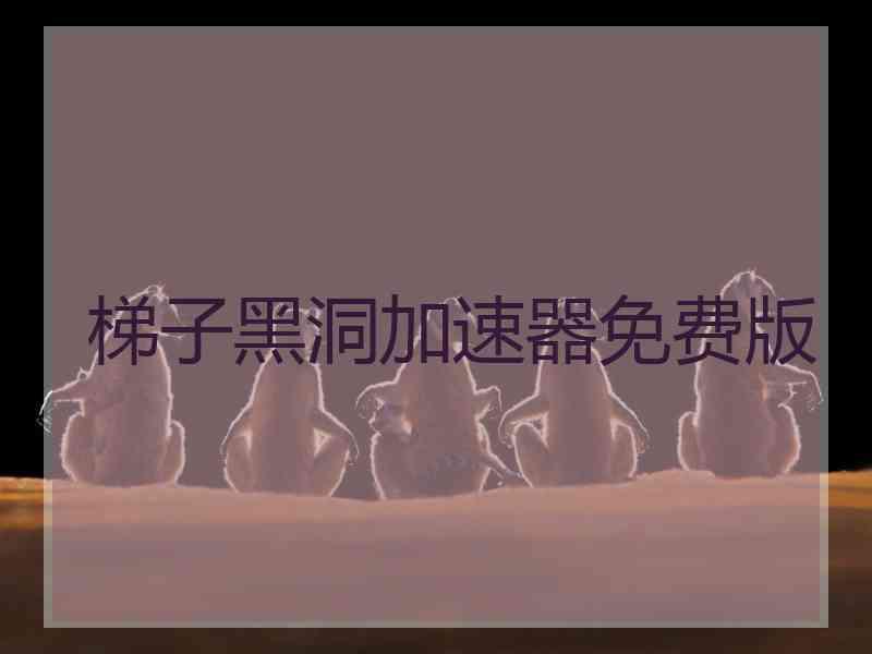 梯子黑洞加速器免费版
