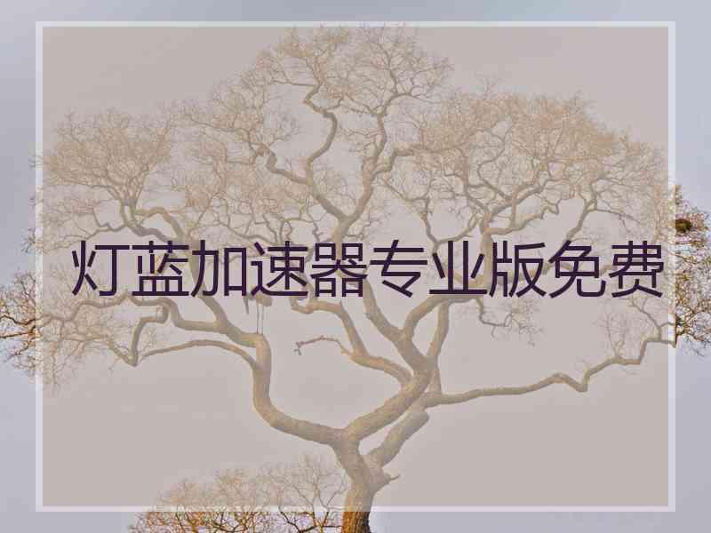 灯蓝加速器专业版免费