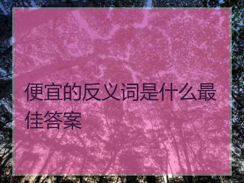 便宜的反义词是什么最佳答案