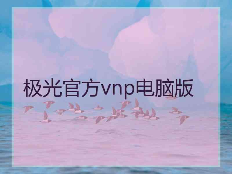 极光官方vnp电脑版