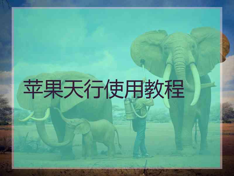 苹果天行使用教程