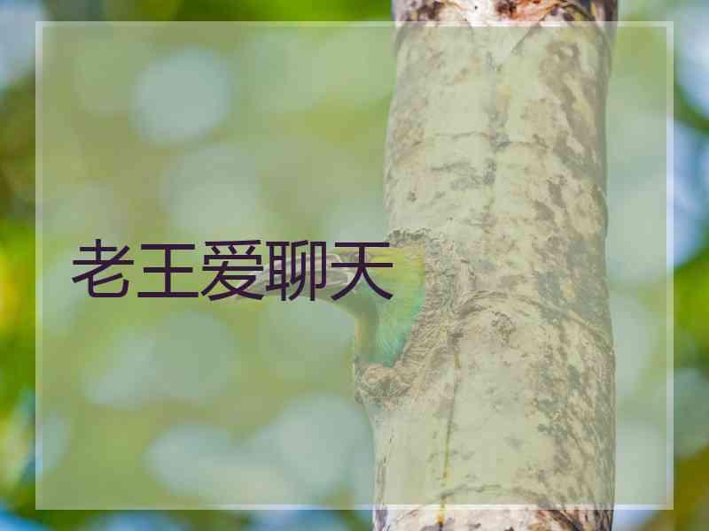 老王爱聊天