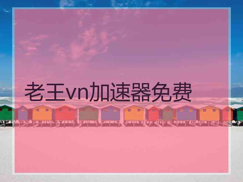 老王vn加速器免费