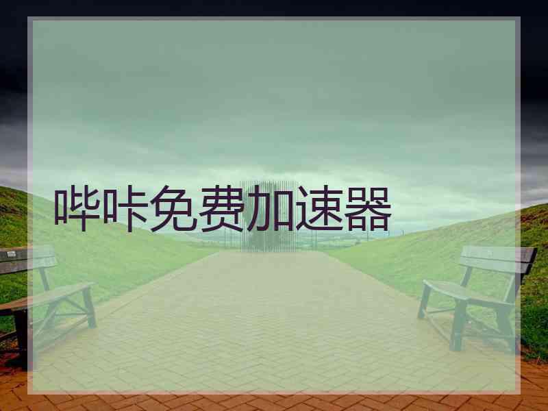 哔咔免费加速器