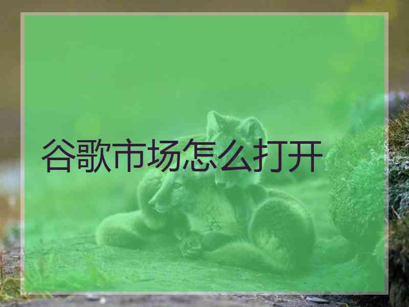 谷歌市场怎么打开