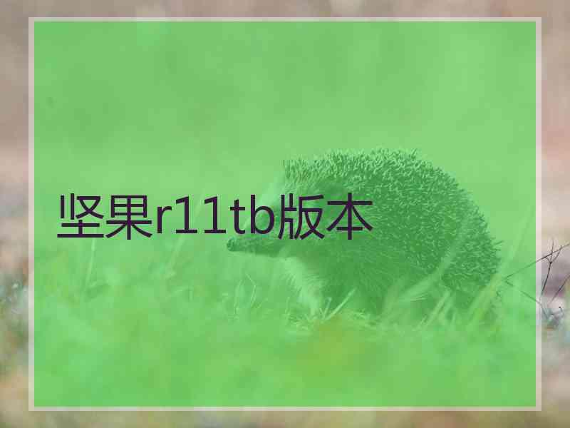 坚果r11tb版本