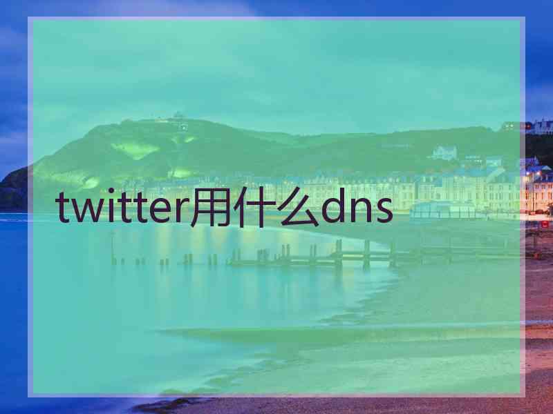twitter用什么dns