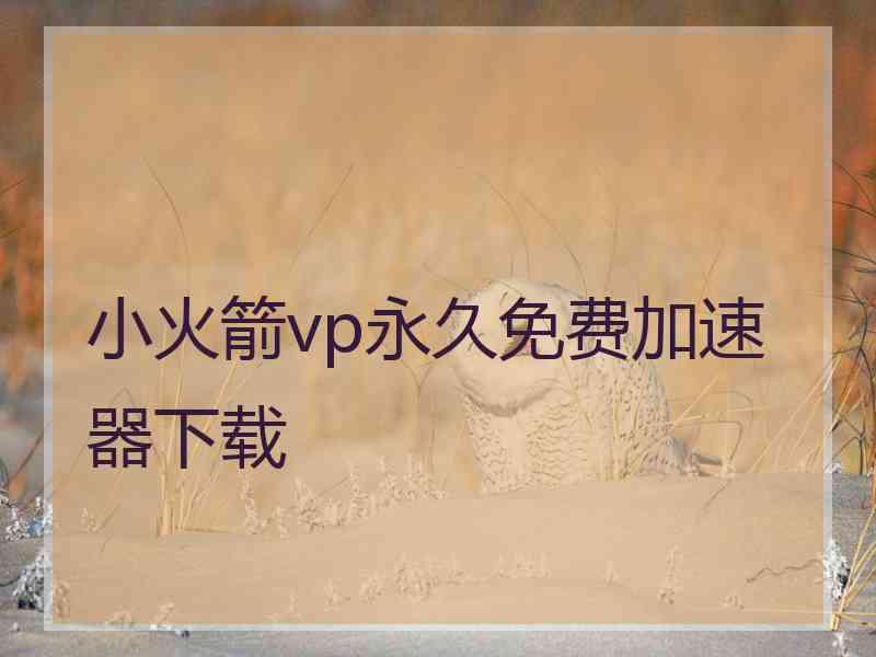 小火箭vp永久免费加速器下载