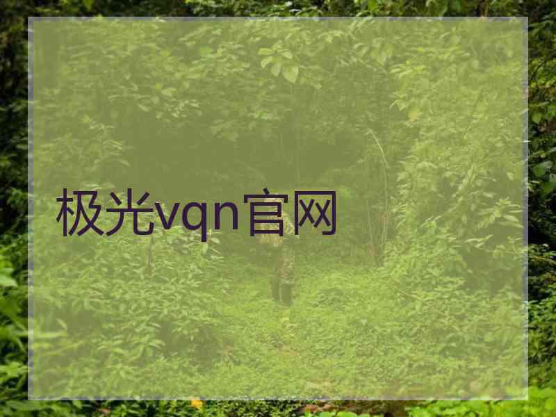 极光vqn官网