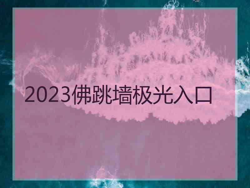 2023佛跳墙极光入口