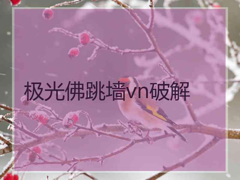 极光佛跳墙vn破解