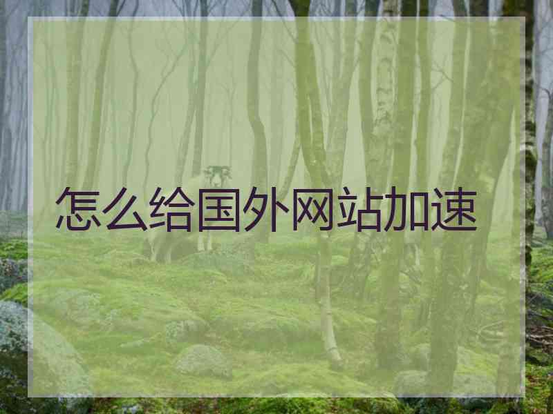 怎么给国外网站加速