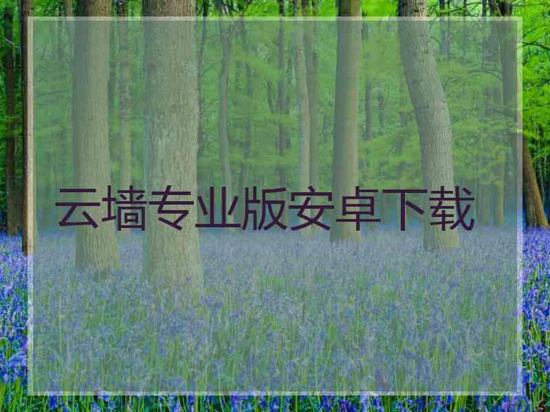 云墙专业版安卓下载