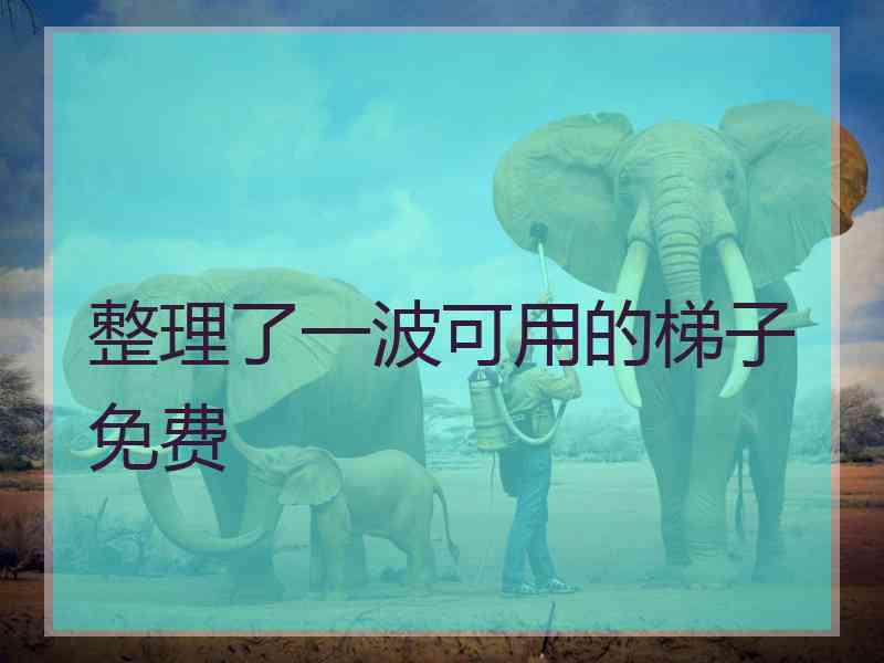 整理了一波可用的梯子免费