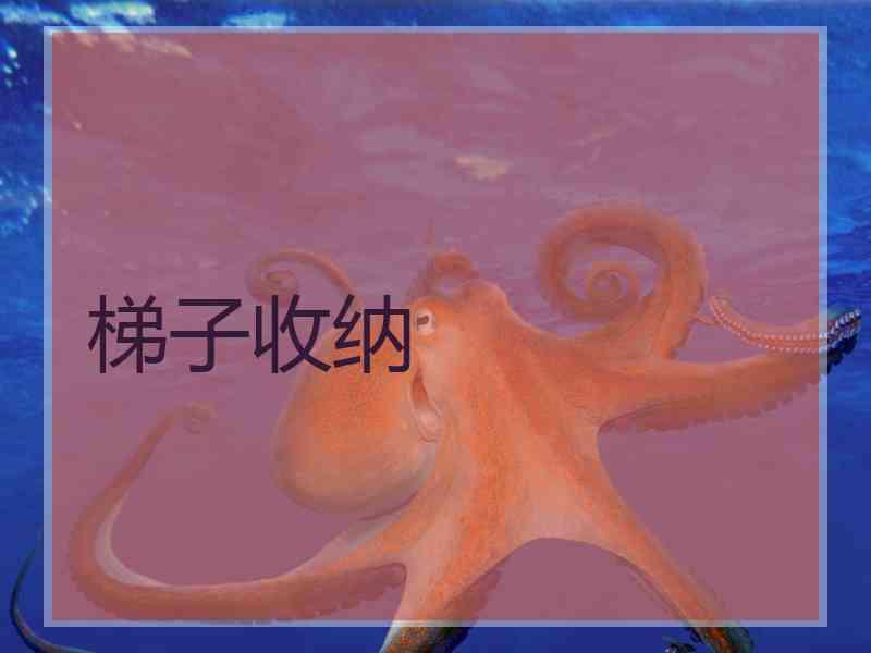 梯子收纳