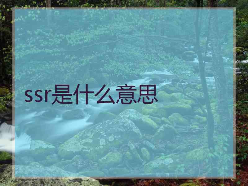 ssr是什么意思