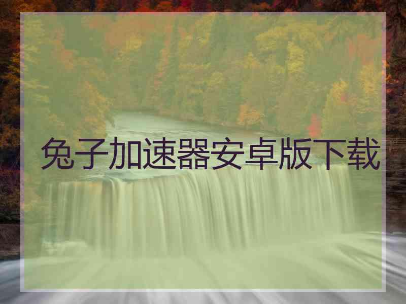 兔子加速器安卓版下载