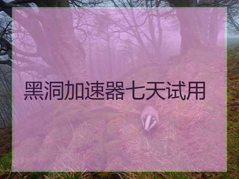 黑洞加速器七天试用