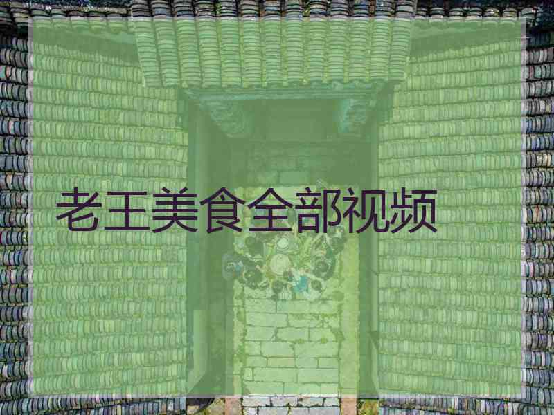 老王美食全部视频
