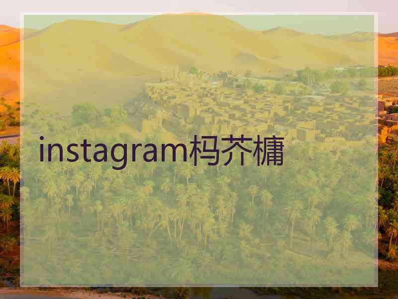 instagram杩芥槦