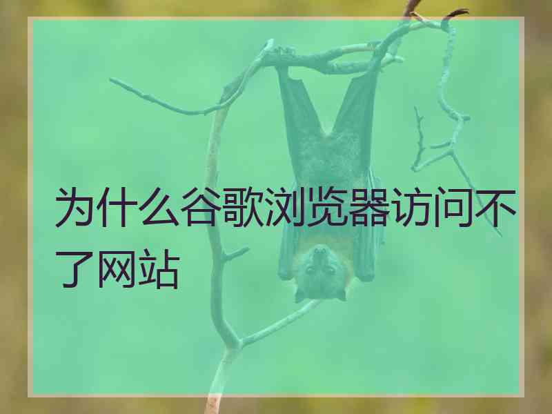 为什么谷歌浏览器访问不了网站
