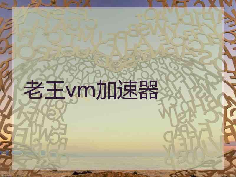 老王vm加速器
