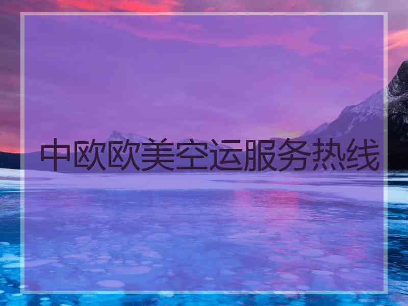 中欧欧美空运服务热线