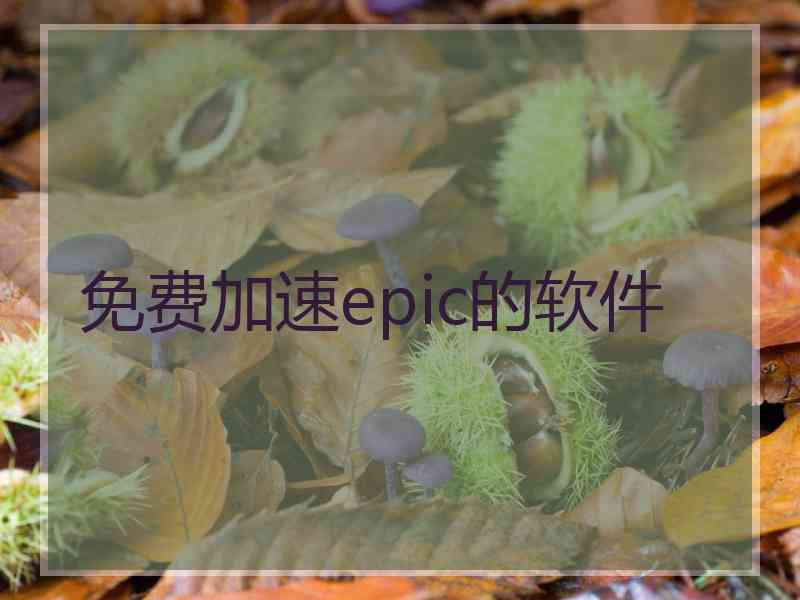 免费加速epic的软件