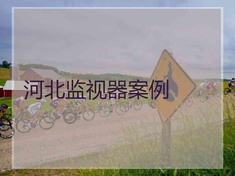 河北监视器案例