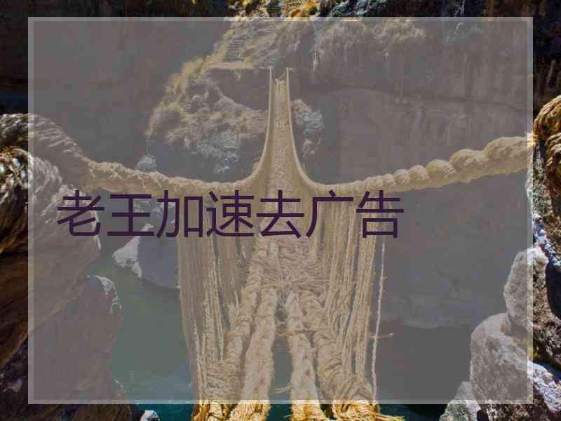 老王加速去广告