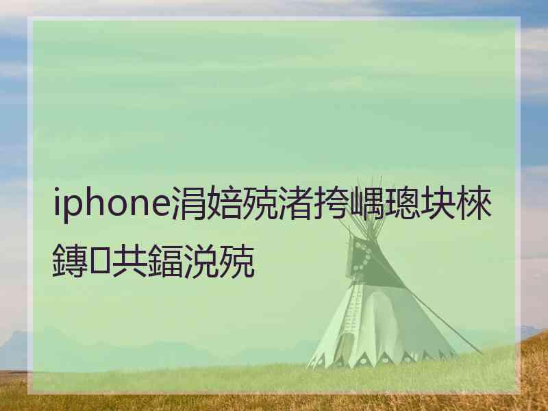 iphone涓婄殑渚挎嵎璁块棶鏄共鍢涚殑