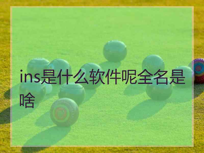 ins是什么软件呢全名是啥
