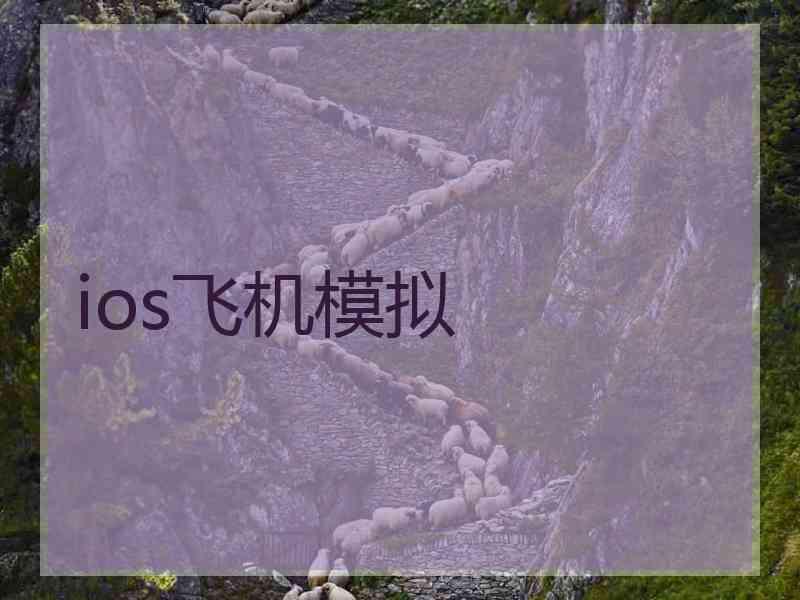 ios飞机模拟