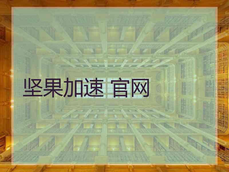 坚果加速 官网