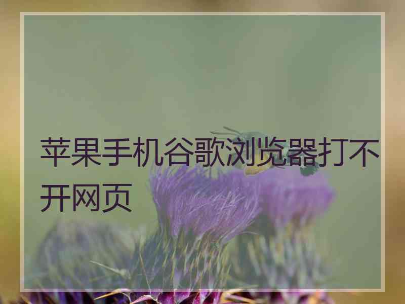 苹果手机谷歌浏览器打不开网页