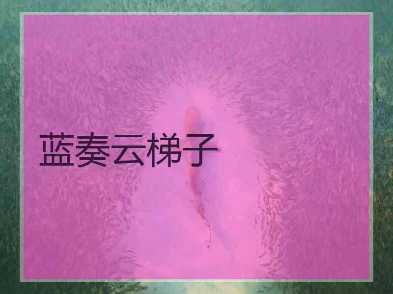 蓝奏云梯子