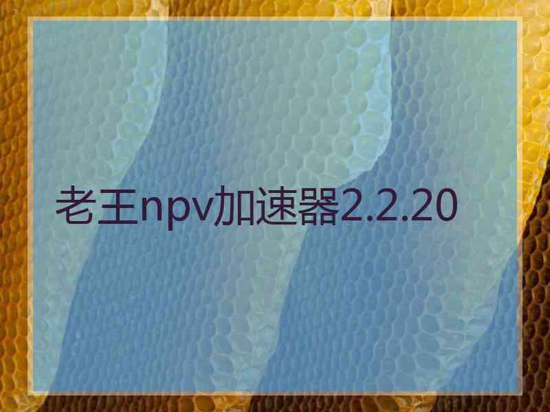 老王npv加速器2.2.20