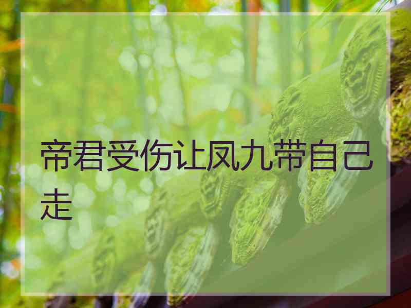 帝君受伤让凤九带自己走