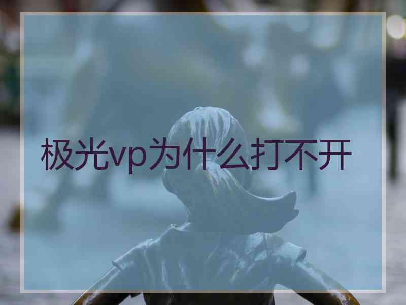 极光vp为什么打不开