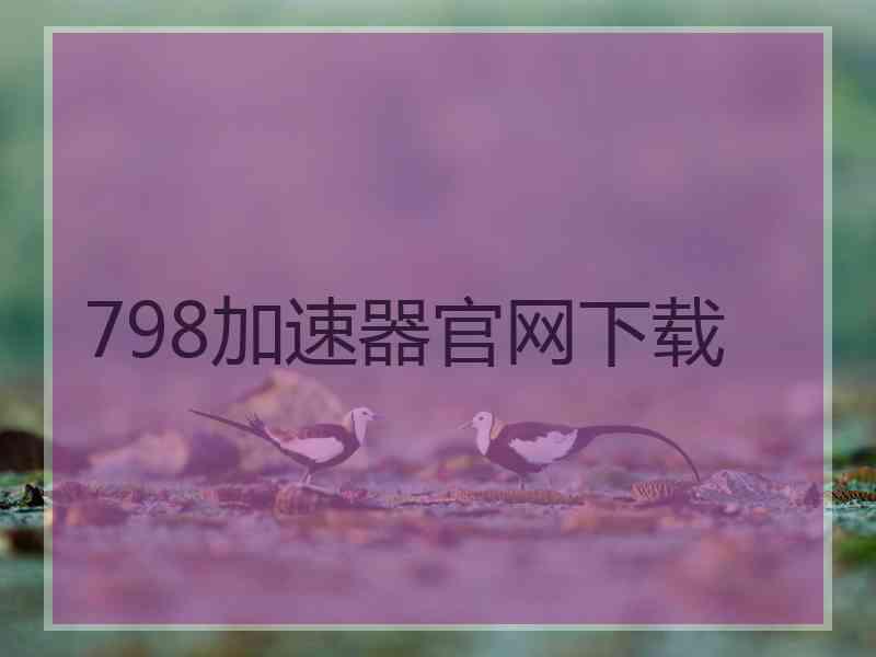 798加速器官网下载