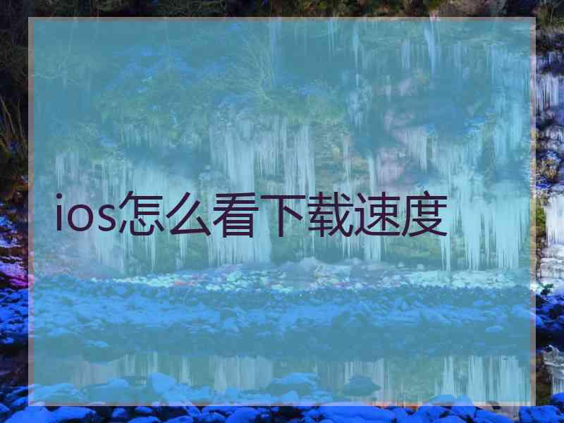 ios怎么看下载速度