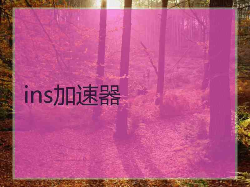 ins加速器