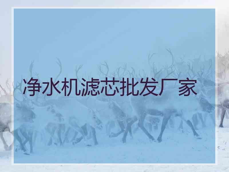 净水机滤芯批发厂家